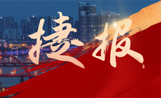 捷报速递！华睿科技联合华体科技中标“德阳市城市智慧路灯建设项目”